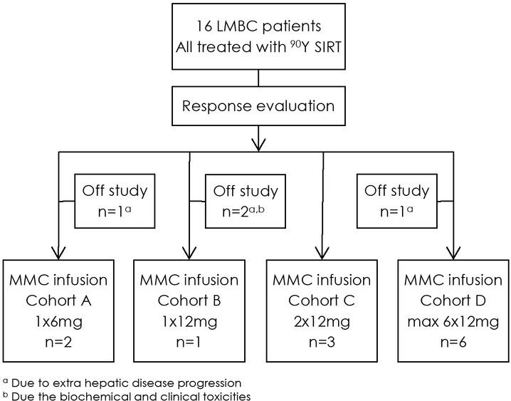 Treatment overview of the 16 patients treated with selective internal radiation therapy with Yttrium-90 containing microspheres (90Y SIRT) and mitomycin C (MMC) infusion in 4 escalating cohorts.