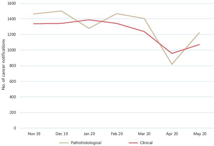 All cancer notifications from pathohistological and clinical departments at the Institute of Oncology Ljubljana and University Medical Centre Maribor between November 2019 and May 2020.