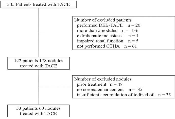 Flow diagram of patients’ and nodules’ selection.
CTHA = computed tomography during hepatic arteriography; DEB-TACE = drug-eluting beads transcatheter arterial chemoembolization; RFA = radiofrequency ablation; TACE = transcatheter arterial chemoembolization