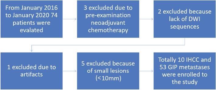 Flow-chart of the study showing the exclusion criteria of the patients.