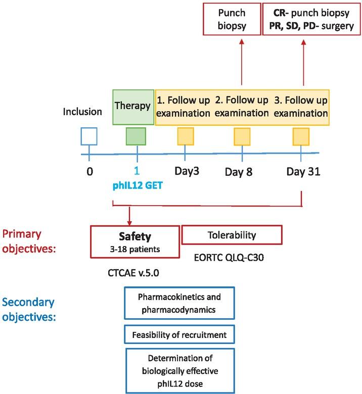 Clinical trial design.
CTCAE v.5 = Common Terminology Criteria for Adverse Events version 5.0; CR = complete response; EORTC QLQ-C30 = European Organization for the Research and Treatment of Cancer Quality of Life Questionnaire C30; PR = partial response; PD = progressive disease; SD = stable disease