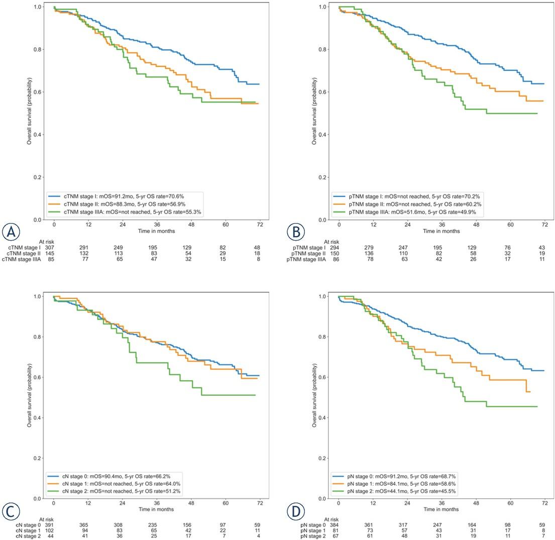 Overall survival by clinical TNM stage (A), pathological TNM stage (B), clinical N stage (C) and pathological N stage (D).