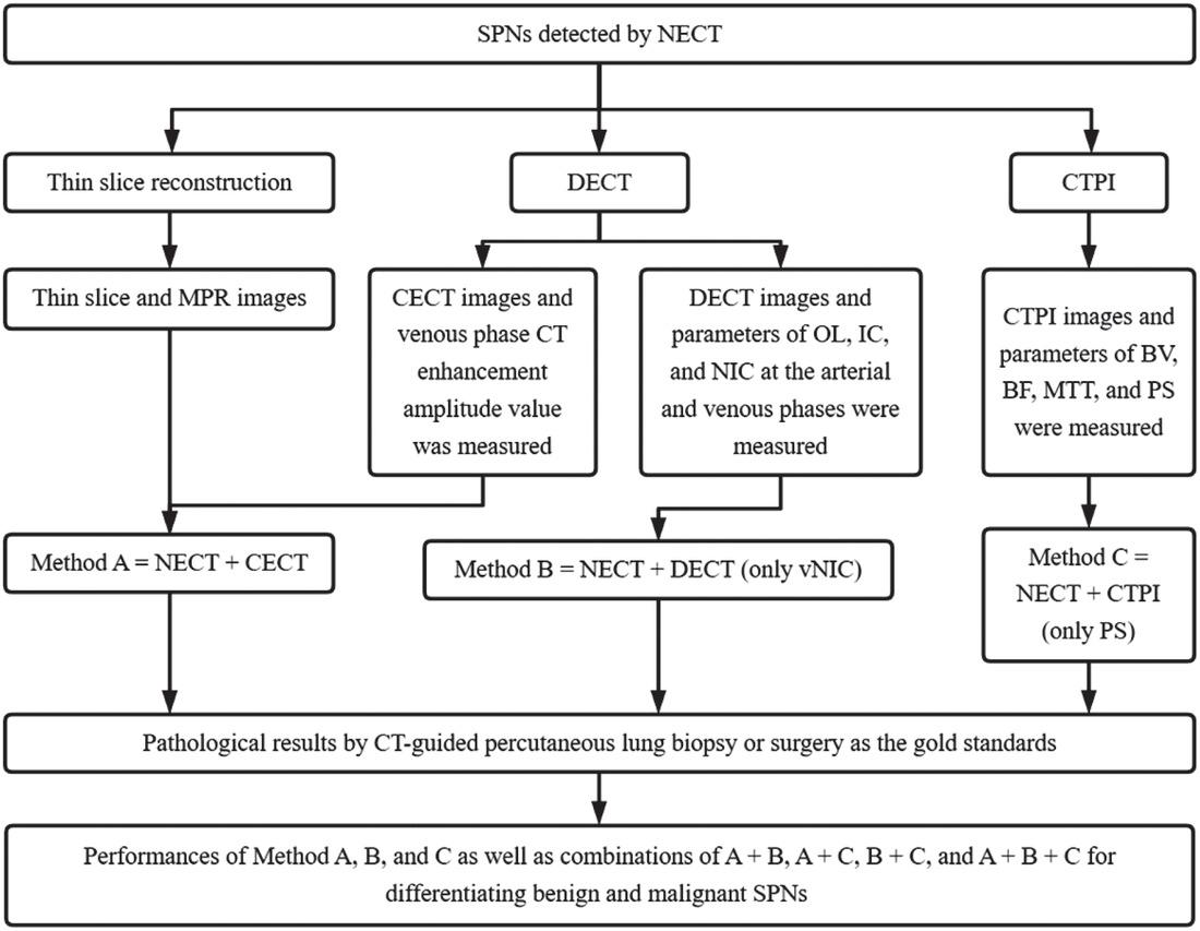 Technology roadmap of multimodality computed tomography (CT) imaging for evaluating solitary pulmonary nodules (SPNs).
BF = blood flow; BV = blood volume; CECT = contrast enhanced CT; CTPI = CT perfusion imaging; DECT = dual-energy CT; IC = iodine concentration; MPR = multiplanar reconstruction; NECT = non-contrast enhanced CT; MTT = mean transit time; NIC = normalized iodine concentration; OL = iodine overlay; PS = permeability surface