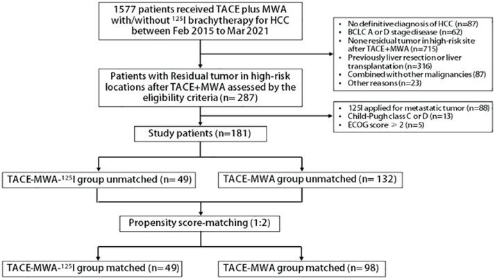 Patient flow diagram.
TACE = transarterial chemoembolization; MWA = microwave ablation