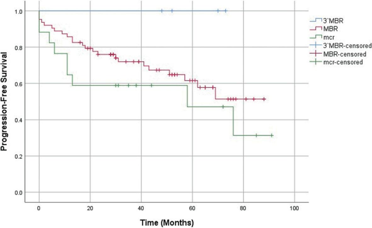 Comparison of progression-free survival between the 3′MBR (blue), MBR (red) and mcr (green) groups. Censored cases are marked as vertical lines on their respective curves. Log Rank (Mantel-Cox) significance: 0.157. Log Rank (Mantel-Cox) significance comparing the MBR and mcr group: 0.235.MBR = major breakpoint region; mcr = minor cluster region