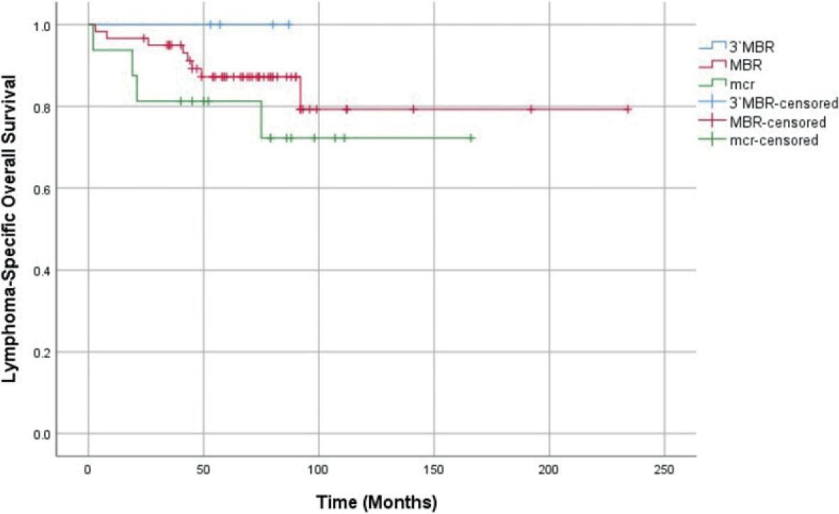 Comparison of lymphoma-specific overall survival between the 3′MBR (blue), MBR (red) and mcr (green) groups. Censored cases are marked as vertical lines on their respective curves. Log Rank (Mantel-Cox) significance: 0.409. Log Rank (Mantel-Cox) significance comparing the MBR and mcr groups: 0.301.MBR = major breakpoint region, mcr = minor cluster region