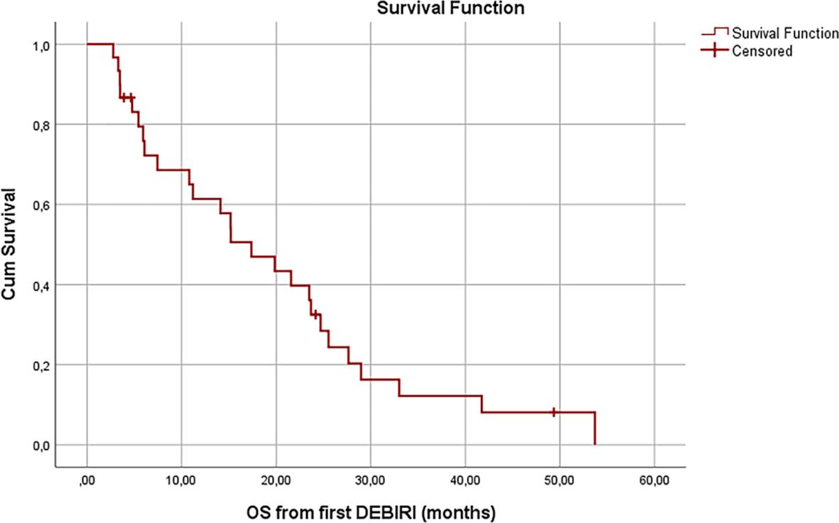 Overall survival (OS) from the beginning of irinotecan-loaded drug-eluting beads (DEBIRI) treatment.