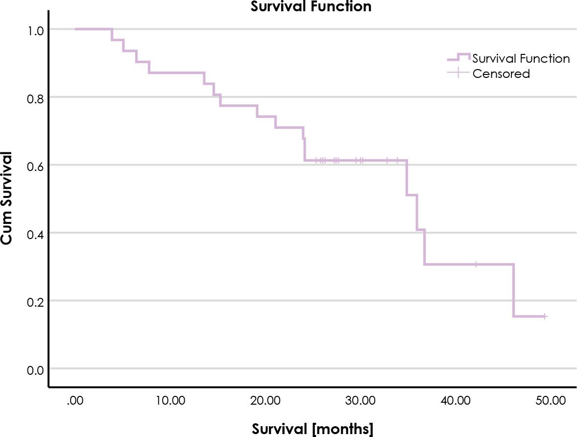 Kaplan-Meier curve for overall survival.