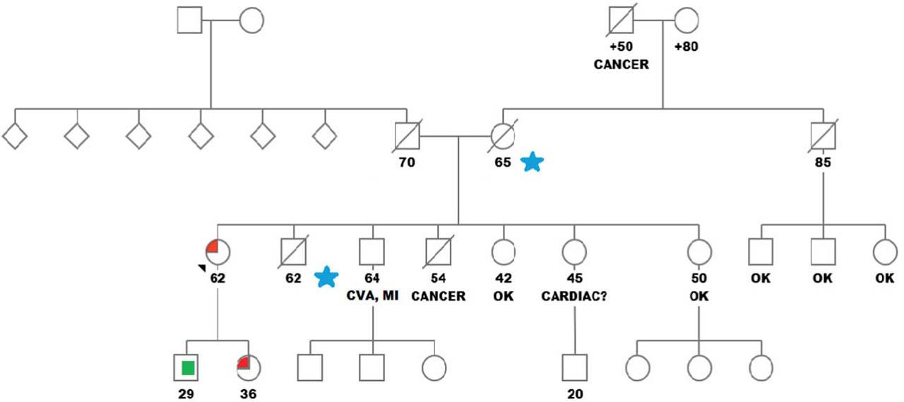 Pedigree. Marked with black arrowhead - the index case. Marked with red – members known as positive for GLA mutation. Green square - genetically tested, non-carrier of the GLA mutation. Blue stars - SCD in sleep.