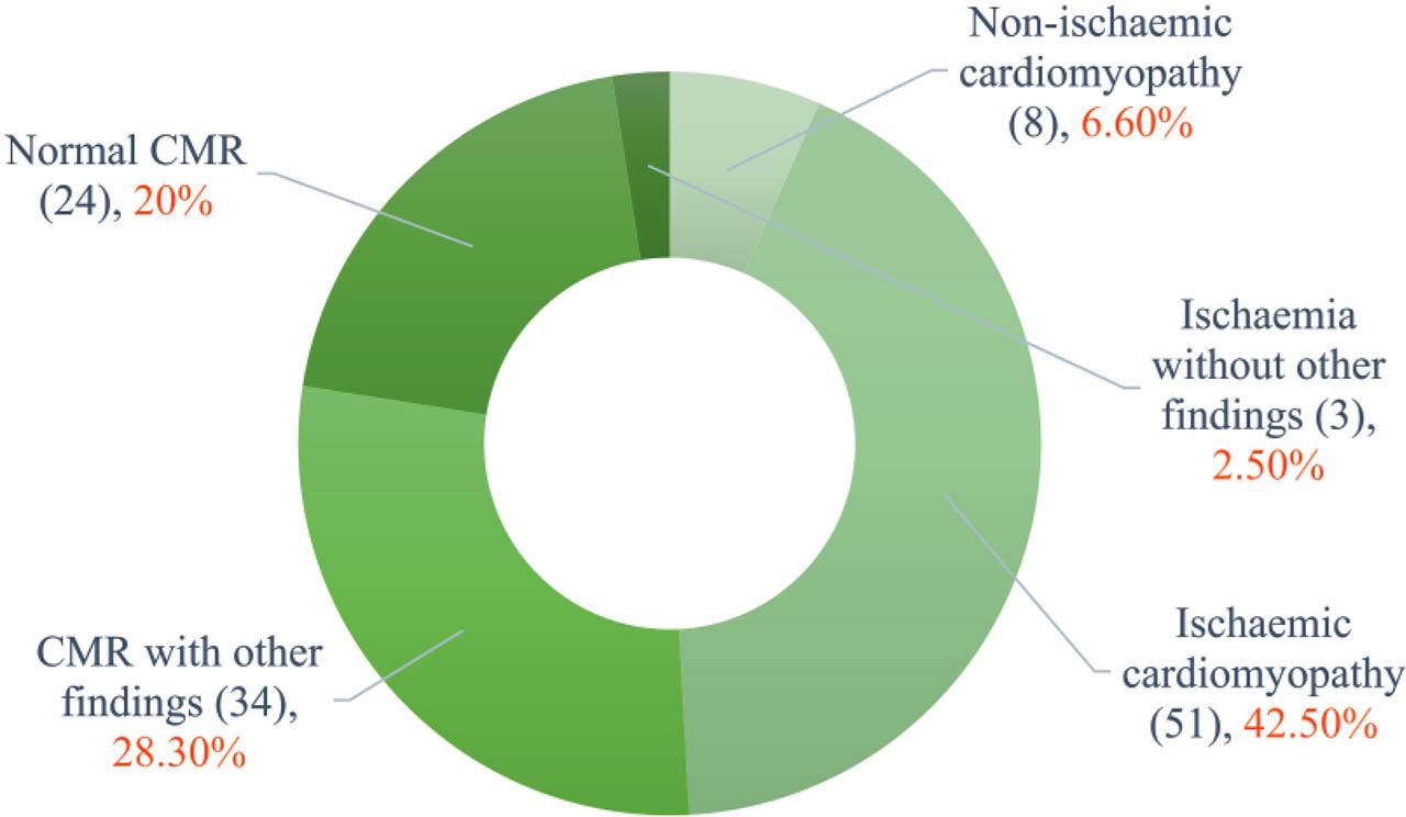 The final diagnosis after stress perfusion cardiovascular magnetic resonance.