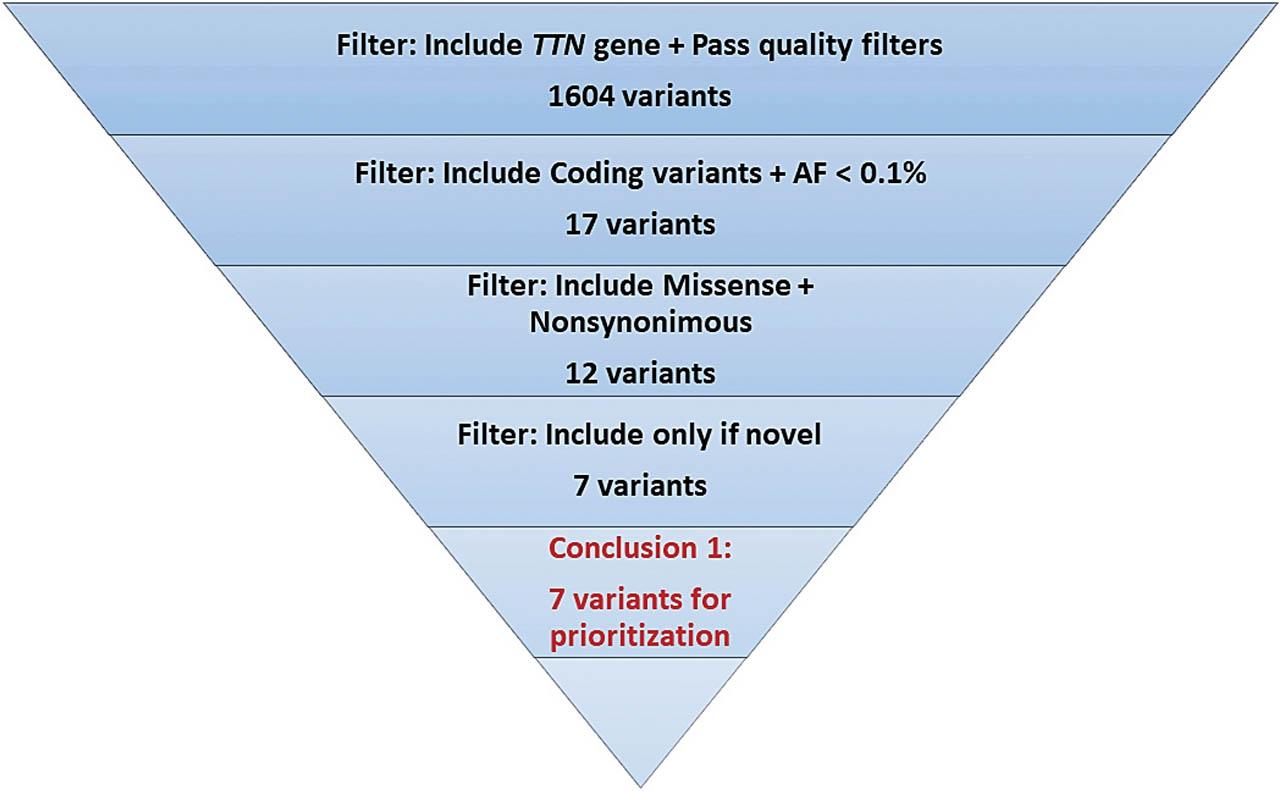 Bioinformatic filtering strategy to identify variants for further prioritization. From total TTN variants passing quality filters were retrieved the coding ones with allele frequency < 0.1% in population databases. Furthermore, only nonsynonymous missense variants were recovered and manually searched through population databases and repositories. Seven novel TTN nonsynonymous missense variants were selected for prioritization.