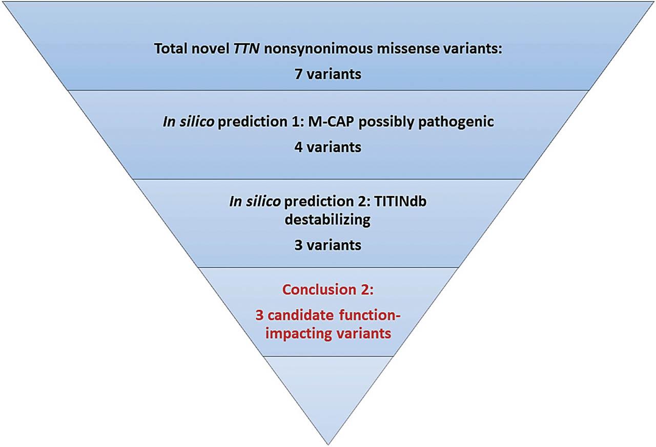 Variant prioritizing strategy for further experimental investigation. From 7 novel TTN nonsynonymous missense variants, 4 were predicted to be possibly pathogenic by M-CAP and entered second prediction. Finally, 3 TTN variants were identified as likely function-impacting variants.