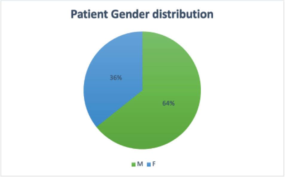 Gender distribution.