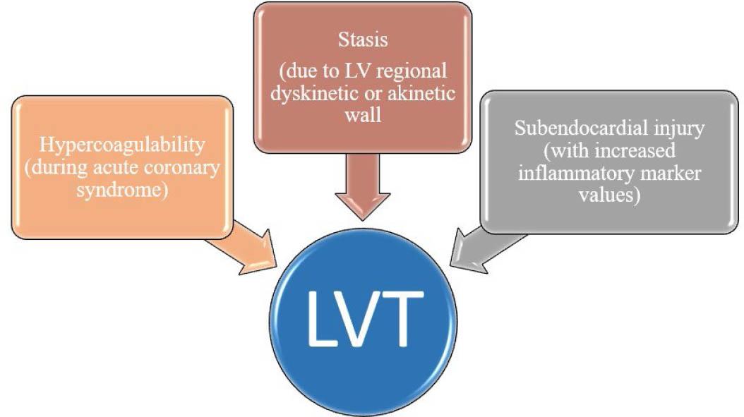 Virchow's triad adapted for left ventricular thrombosis (LVT) (modified after Delewi, et al.5).