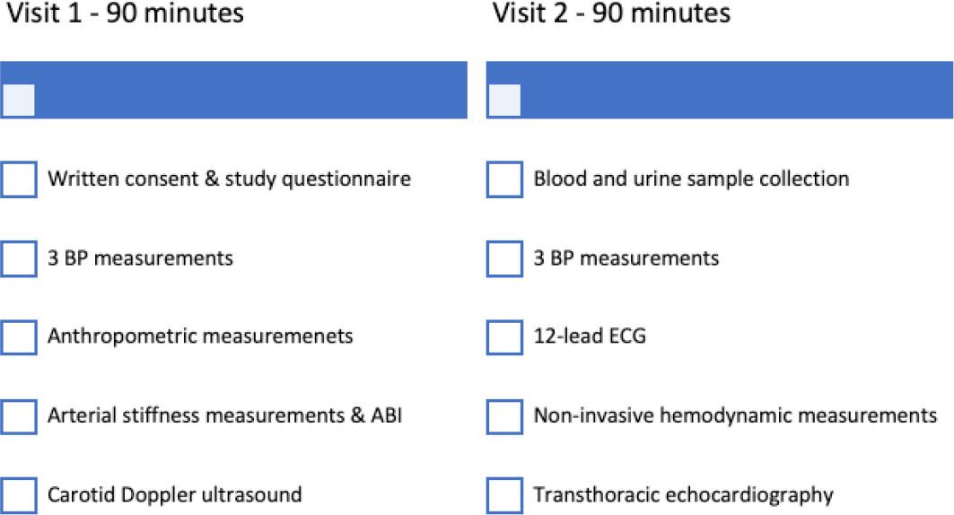 Study workflow in SEPHAR surveys. ABI – ankle-brachial index; BP – blood pressure; ECG – electrocardiogram