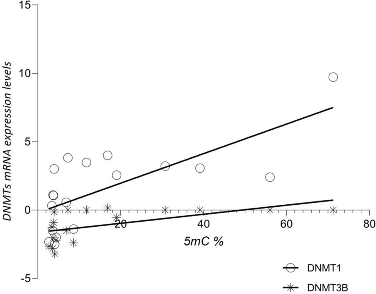 The relationship between 5mC% and the expression levels of DNMTs in neoplastic tissues