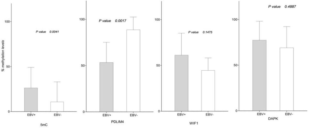 Global (5-mC%) and local methylation profile (TSGs promoters methylation) in EBV-positive compared to EBV-negative laryngeal tumors