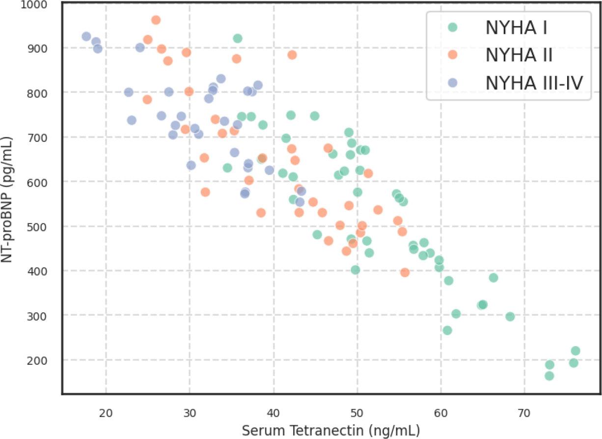 Scatter Plot with Regression Line Illustrating the Relationship Between Serum Tetranectin and NT-proBNP in HF with EF > 45% Patients.