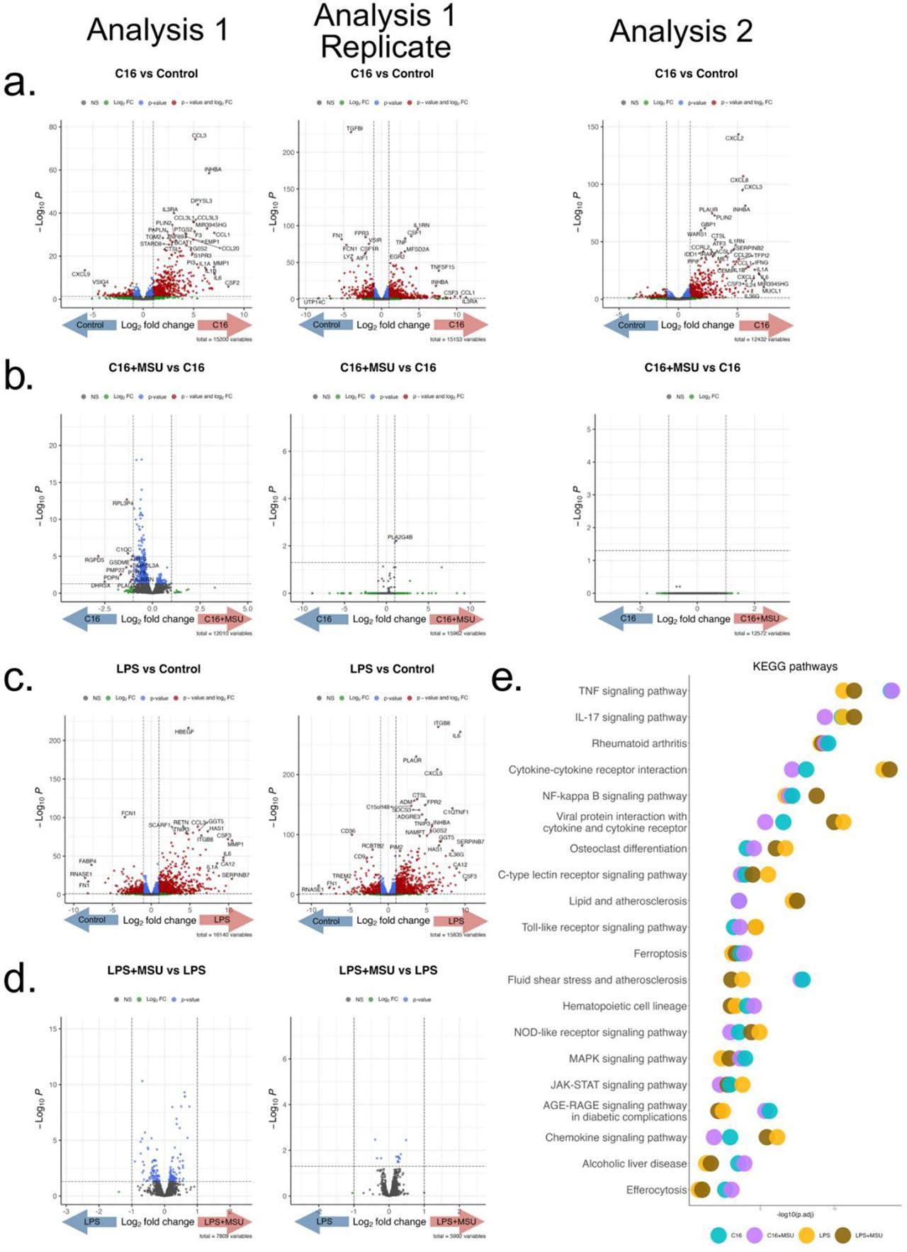 RNA-seq after 24h PBMC stimulations with palmitate, LPS and MSU combinations. The first experiment contains 2 replicates (gout patients, n=4 and n=3), where cells were stimulated with MSU crystals (300 μg/mL), palmitate (50 μM), palmitate+MSU, LPS (10 ng/mL) or LPS+MSU. The second experiment (healthy individuals, n=4) was independently performed in the same experimental conditions with MSU, palmitate and palmitate+MSU stimulations. Volcano plots depicting the results of the Differential Expression Analysis comparing (a) palmitate vs control; (b) palmitate+MSU vs palmitate; (c) LPS vs RPMI and (d) LPS+MSU vs RPMI. X axis represents the log2 Fold Change and y axis the p value for each analyzed mRNA. (e) KEGG pathway enrichment analysis of the top upregulated pathways in all comparisons. Infectious disease terms were excluded.