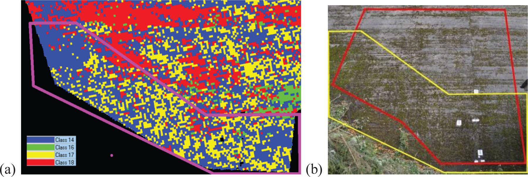 Areas indicated for cleaning in station 505: (a) area highlighted with magenta was defined using supervised classification results, classes indicated analogically to Figure 7, and (b) area designated for preservation marked on the visible spectrum image.