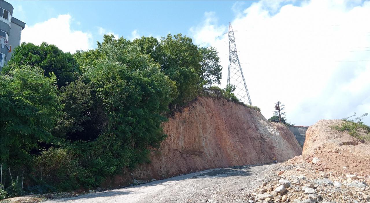 The Gure slope in Giresun city.