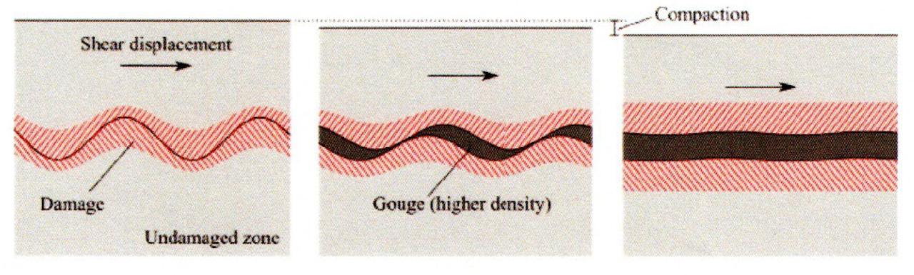 Schematic representation of gradual wear of asperities. Abraded grains form a gouge layer between the interfaces (after Braun et al. 2021).