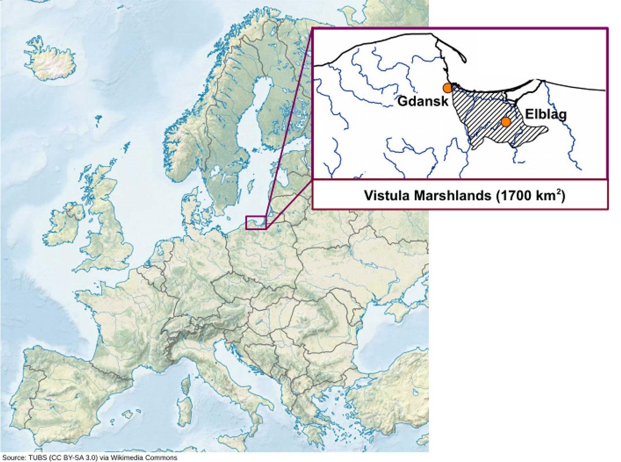 Vistula Marshlands, Northern Poland.