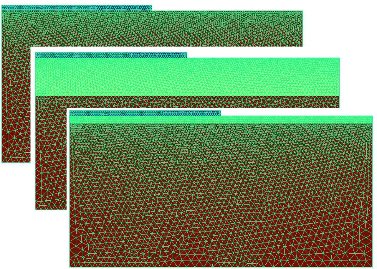 Examples of finite element meshes of the models.