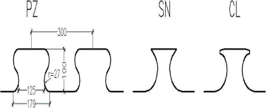 Dimensions accepted in further analysis of the PZ shape.