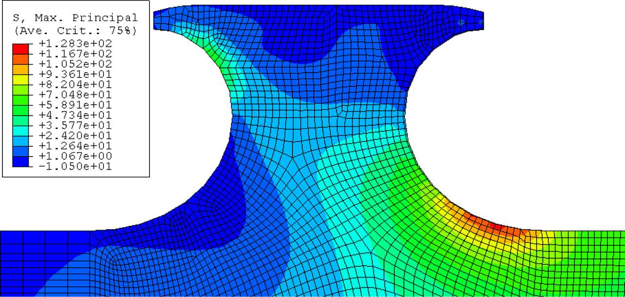 Principal (maximum) stress layout in the tooth for the NPOT model according to FE simulations.