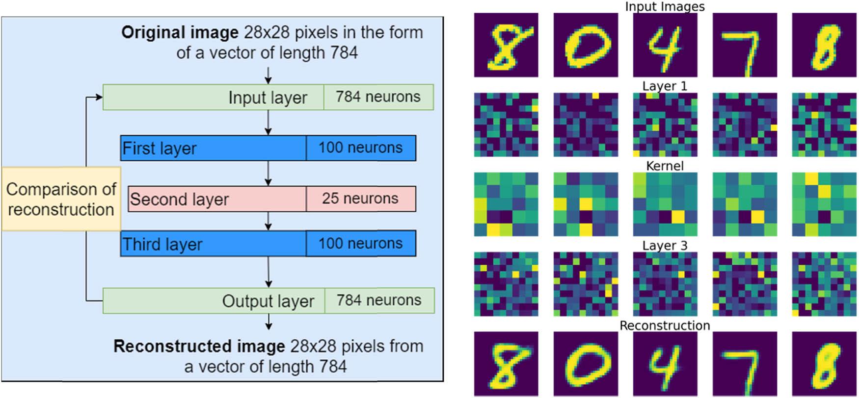 (a) Stacked autoencoder architecture and (b) results of the network operation in following steps.