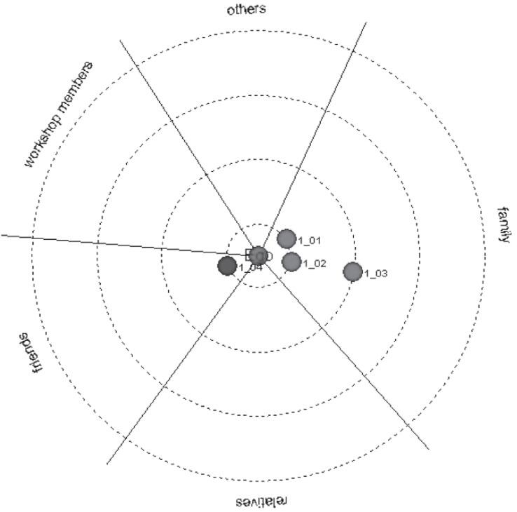 The ESN visualized in the program Egonet QF, showing the overall support.