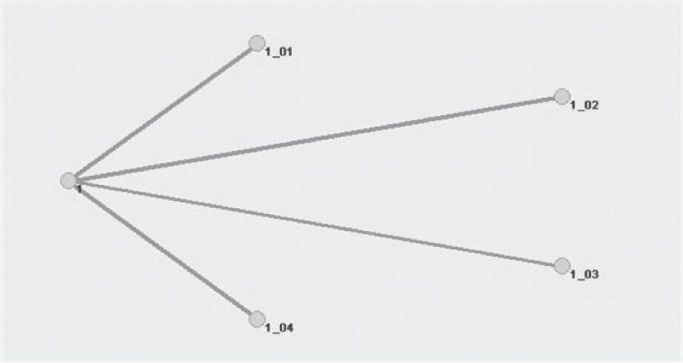 The egocentric social network visualized in the program Pajek.