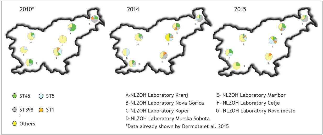 The distribution of presumptive CA-MRSA clones circulating in Slovenia for 2010, 2014 and 2015.
