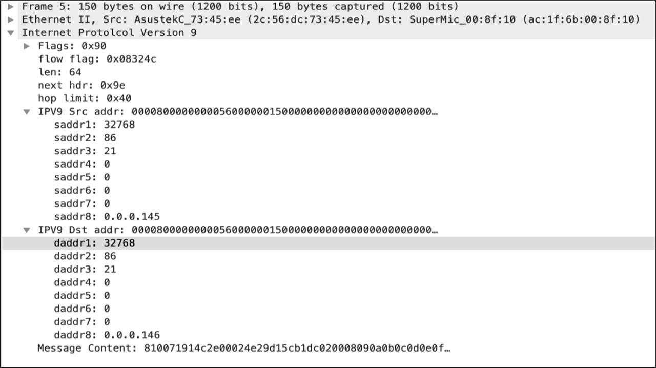 ICMPv9 响应包(未使用地址加密方向)