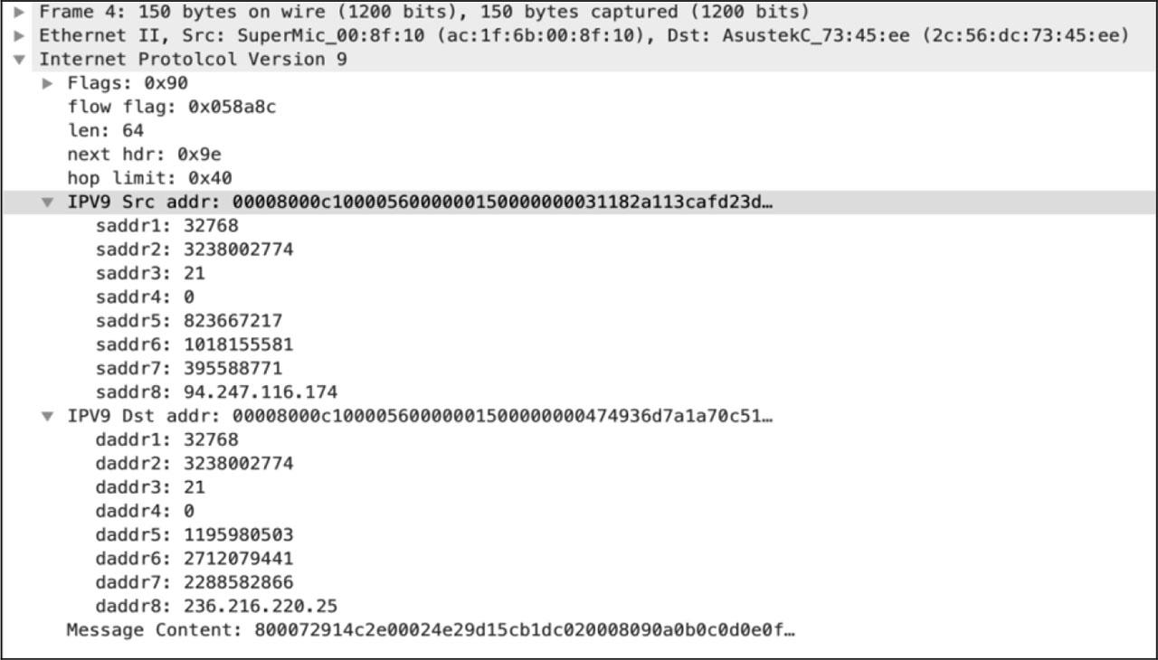 ICMPv9 请求包(使用地址加密方向)