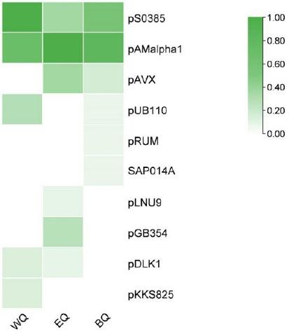 Plasmid carriage of 30 methicillin-resistant Staphylococcus aureus strains from different poultry sources. EQ – layer source; WQ – waterfowl source and BQ – broiler source. Intensity of green represents carriage and 0.00–1.00 equates to 0–100% carriage