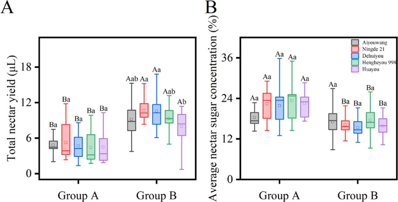 Total nectar yield and average nectar sugar concentration in the five oilseed rape cultivars. Group A: flower buds that were bagged at 18:00 and opened before 9:00 the next morning, Group B: flower buds that were bagged at 9:00 and opened at 11:00. Different lowercase letters indicate significant differences among cultivars for the flowers opening at the same time (Kruskal-Wallis test or one-way ANOVA, p<0.05). Different capital letters indicate significant differences between flowers of the same cultivar that opened at different times (Mann-Whitney U test or independent samples t test; p<0.05).