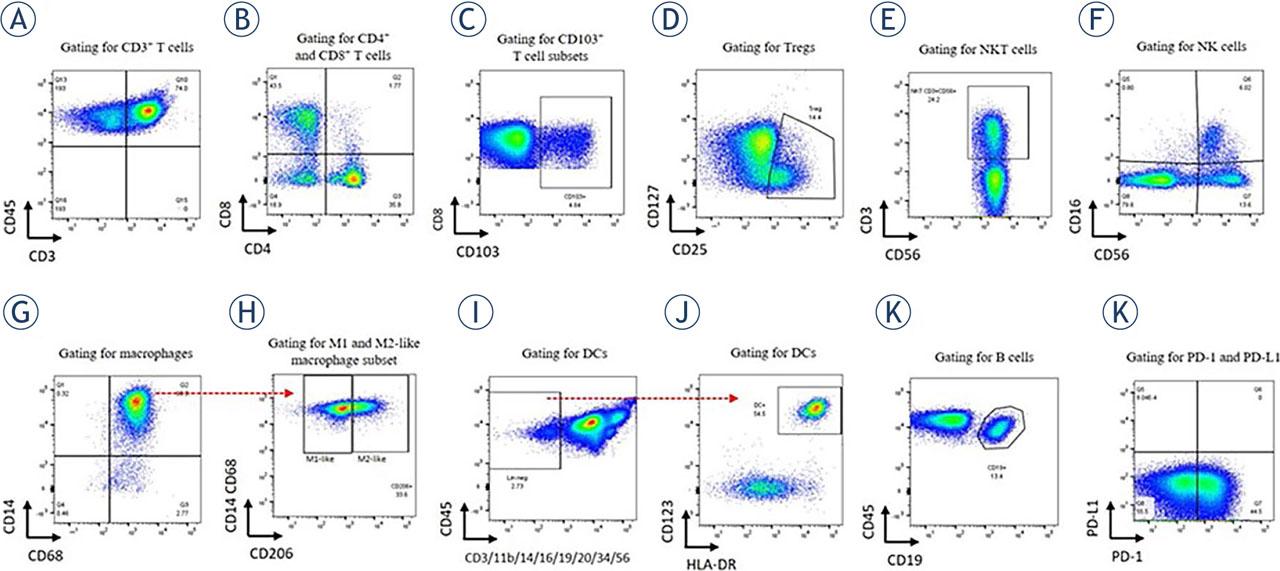 Gating strategy for immune cells in ascites. (A) CD3+ T cells were gated on CD45+. (B) The depicted gate shows CD4+ vs. CD8+ subsets gated on CD3+ T cells and (C) CD103 expression on CD8+. The same gating strategy was applied for CD103 expression on CD4+ (not shown). (D) Gating representative for Tregs. The dot plot depicts CD4+ cells discriminated according to CD127 and CD25 positivity. (E) NKT cells were gated according to CD3 and CD56 positivity. (F) NK cells were gated according to CD16 and CD56 positivity. Two subsets were defined: CD56brightCD16− and CD56dimCD16+. (G) The dot plot depicts macrophages according to CD14 and CD68 positivity (pre-gated on CD11b+CD45+ cells). (H) M1-like macrophages were defined as CD206− macrophages, and M2-like as CD206+ macrophages. (I) DCs were gated per exclusion − as lineage-negative cells (no expression of CD3/CD11b/CD14/CD16/CD19/CD20/CD34/CD56) and further discriminated by CD123 and HLA-DR positivity. (J) B cells were gated as CD19+ cells per CD45+. (K) PD-1 and PD-L1 positivity was detected on each cell population/subset.