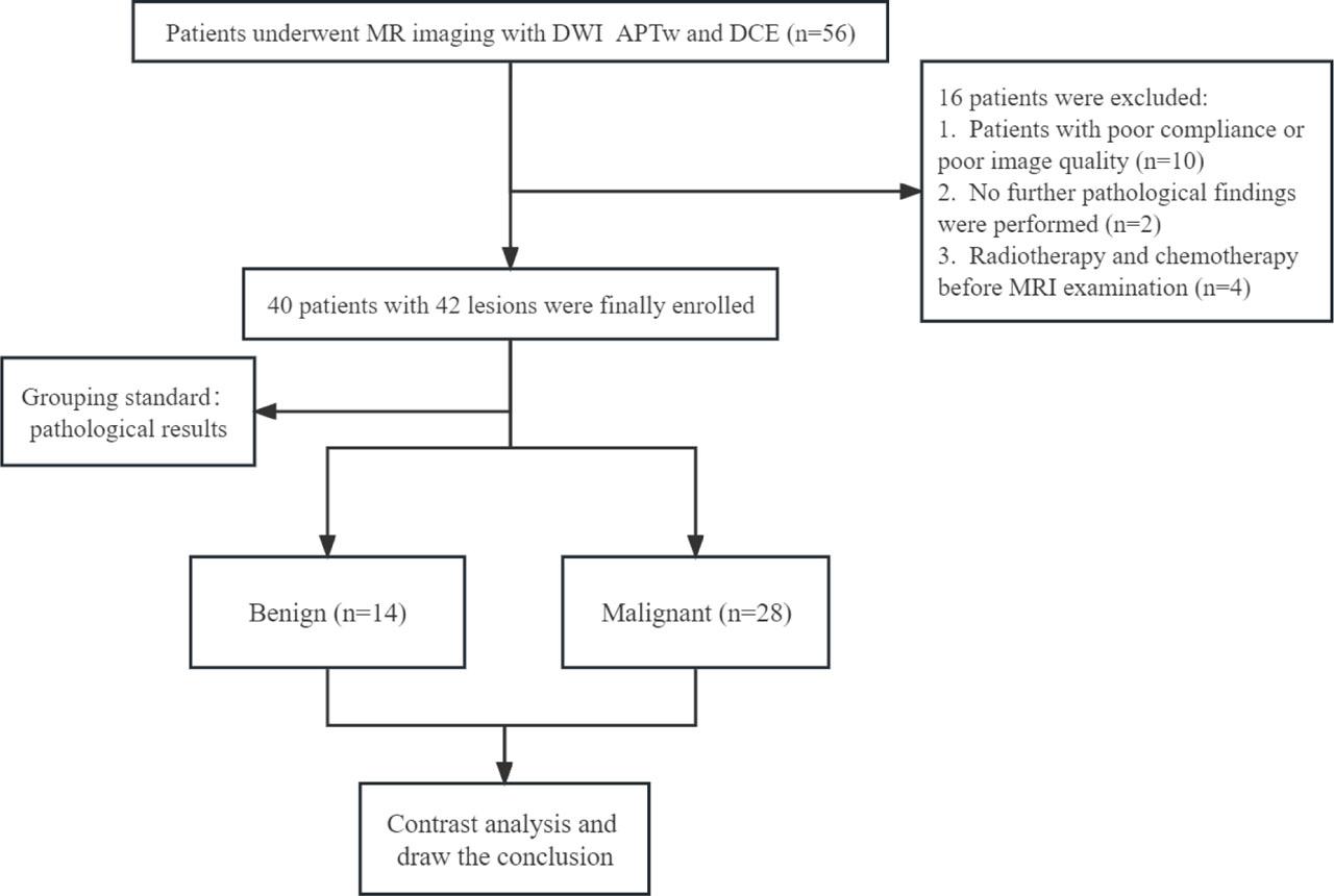 Flowchart of patient selection.
