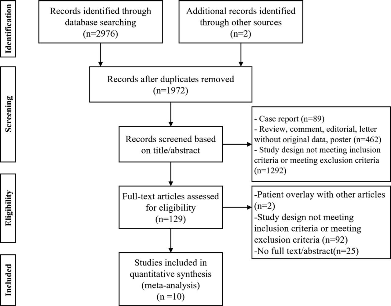 Systematic Reviews and Meta-Analyses (PRISMA) flow chart.