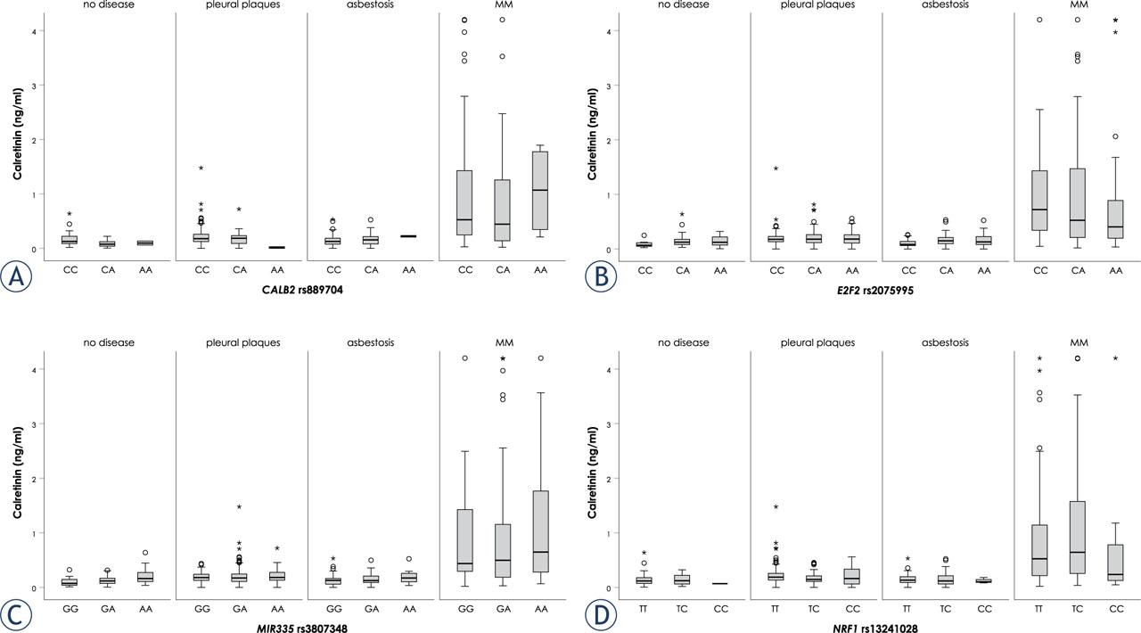 Association of selected single nucleotide polymorphisms (SNPs) with serum calretinin concentration: CALB2 rs889704 (A), E2F2 rs2075995 (B), MIR335 rs3807348 (C), NRF1 rs13241028 (D).