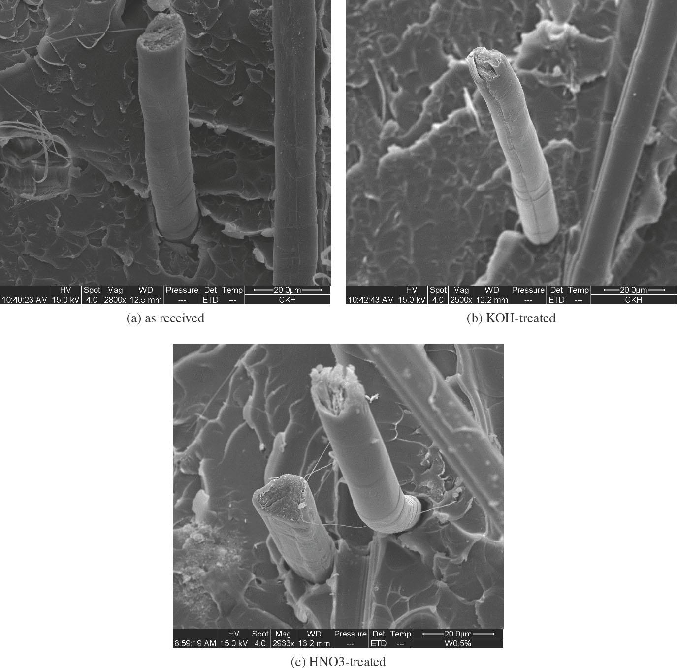 Surface morphology of carbon fiber