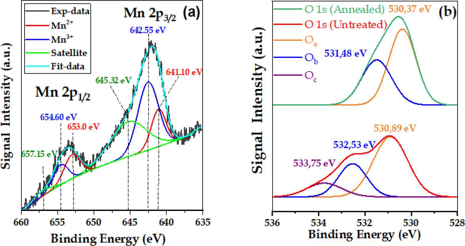 Gaussian deconvolution of high-resolution XPS spectrum of: (a) doubled Mn 2p corresponding to treated ZnMnO(final state); and (b) O 1s corresponding to ZnMnO (untreated, annealed)