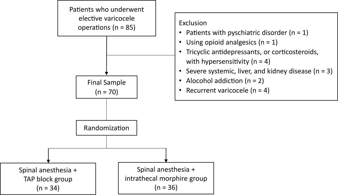 CONSORT diagram of studied patients.
