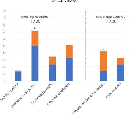 Relative abundance (%) of bacterial species overrepresented ≥ 1.5 ×, or underrepresented ≤ 0.5 ×, in ADC versus SCC patients’ rectal swabs. Y axis – number of patients, blue columns – ADC patients, orange columns – SCC patients, * – significant difference (p ≤ 0.05), ADC – adenocarcinoma, SCC – squamous cell carcinoma