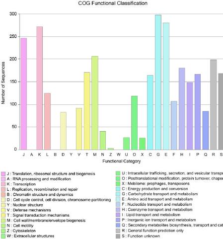 GO classifications of the genome sequence of Bacillus halotolerans HGR5. Bar chart represents the number of genes which were assigned a known GO function by the eggNOG-mapper tool.