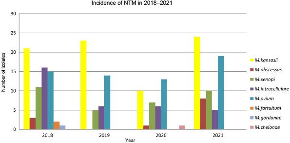 Prevalence of non-tuberculosis mycobacteria species isolated from patients in the Malopolska region of Poland, etween 2018–2022. Each year, the most prevalent species were Mycobacterium kansasii and Mycobacterium avium. Occurrence of Mycobacterium abscessus varies between the years and amounted to three strains in 2018, one in 2020, and eight in 2021.
