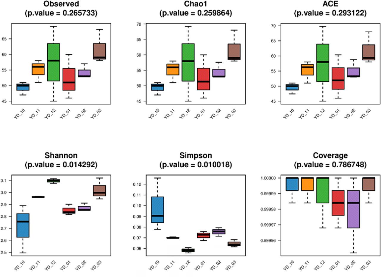 Alpha diversity indexes in samples collected from October 2022 (YD_10) to March 2023 (YD_03).