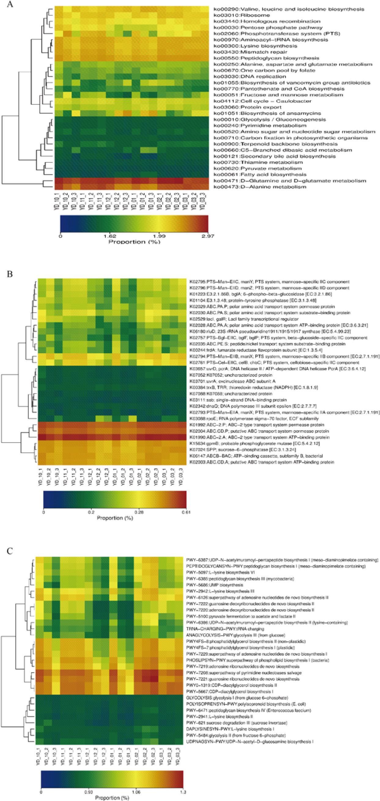Relative abundance of Kyoto Encyclopedia of Genes and genomes (KEGG), KEGG Orthology, and MetaCyc pathways. The bars indicate relative abundances.